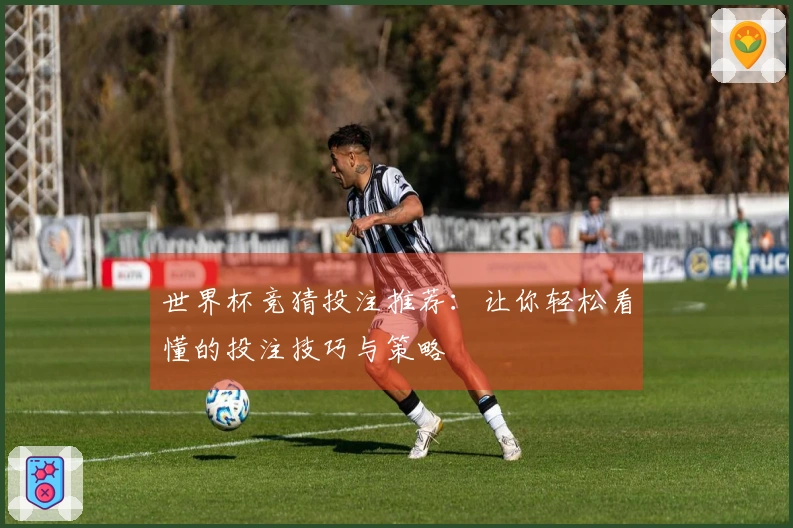 世界杯竞猜投注推荐：让你轻松看懂的投注技巧与策略