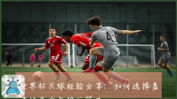 世界杯买球经验分享：如何选择靠谱的平台与投注策略