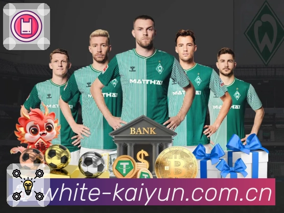 <strong>开云</strong>App 示例图